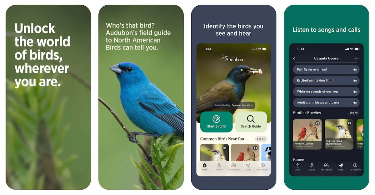 Screenshot 2025 04 16 At 10.41.56 am. birding apps